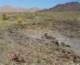 imgp2243_small.jpg