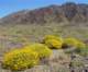 imgp2244_small.jpg