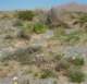 imgp2247_small.jpg