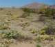 imgp2248_small.jpg
