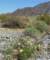 imgp2254_small.jpg
