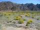 imgp2255_small.jpg