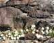 imgp2256_small.jpg