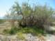 imgp2258_small.jpg