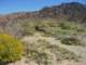imgp2259_small.jpg