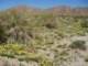 imgp2260_small.jpg