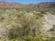 imgp2261_small.jpg