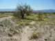 imgp2264_small.jpg
