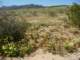 imgp2268_small.jpg