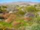 imgp2277_small.jpg