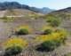 imgp2283_small.jpg