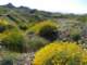 imgp2286_small.jpg