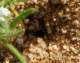 imgp2293_small.jpg