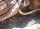 imgp3711_small.jpg