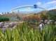 imgp3723_small.jpg