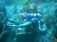 imgp3759_small.jpg