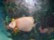 imgp3771_small.jpg