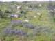 estelle0834_small.jpg