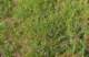 estelle0837_small.jpg
