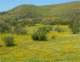 imgp2652_small.jpg