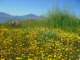 imgp2653_small.jpg