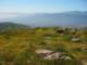 imgp2654_small.jpg