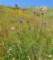 imgp2656_small.jpg