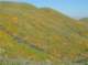 imgp2660_small.jpg