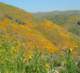 imgp2661_small.jpg