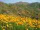 imgp2662_small.jpg