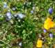 imgp2667_small.jpg
