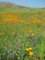 imgp2669_small.jpg