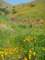 imgp2670_small.jpg