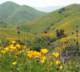 imgp2672_small.jpg