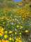 imgp2674_small.jpg