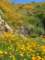 imgp2675_small.jpg
