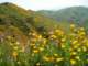 imgp2676_small.jpg