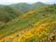 imgp2677_small.jpg
