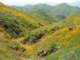 imgp2679_small.jpg