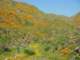 imgp2680_small.jpg