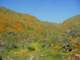 imgp2682_small.jpg