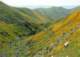 imgp2684_small.jpg
