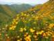 imgp2685_small.jpg