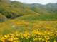 imgp2687_small.jpg