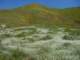 imgp2688_small.jpg