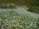 imgp2690_small.jpg