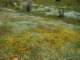 imgp2692_small.jpg