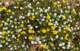 imgp2693_small.jpg