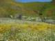 imgp2694_small.jpg