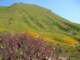 imgp2695_small.jpg